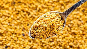 Bee pollen dari madu asli mengandung karbohidrat, protein, asam lemak, antioksidan, dan masih banyak lagi