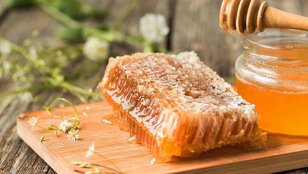 raw honey dari madu asli madu onggu