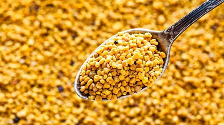 Read more about the article Kenali 7 Manfaat Tak Terduga Bee Pollen Untuk Kesehatan